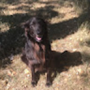 Meet your Posher, Debra